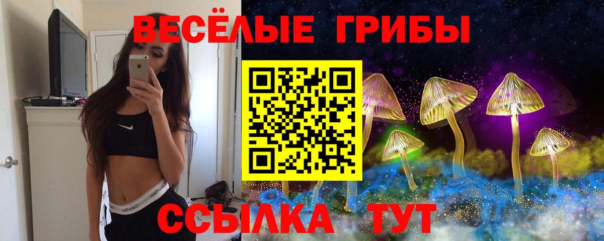 хочу наркоту  Псилоцибиновые грибы Magic Shrooms  Вход с VPN  Магнитогорск 
